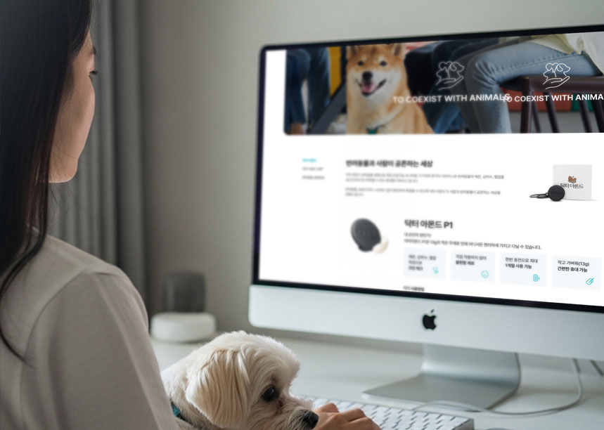 닥터아몬 UI 디자인